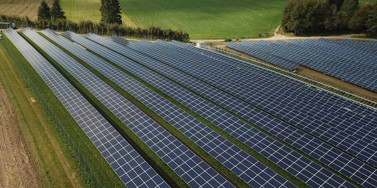 Agrifotovoltaico: l'ombreggiamento migliora i risultati sulla lattuga